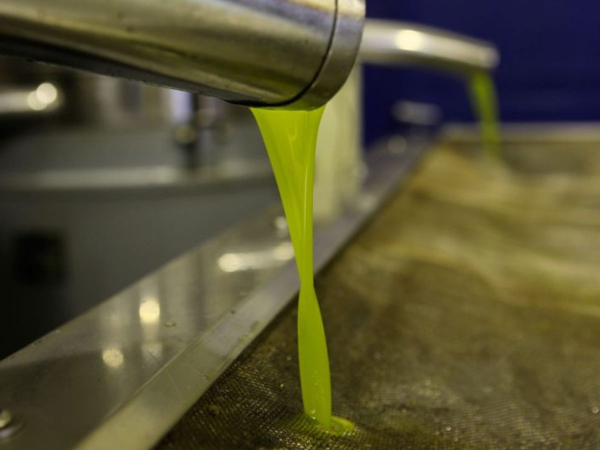 Σκληρό παιχνίδι στην αγορά ελαιολάδου: Πάνω από 5,50 € τα «διαμάντια»