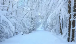 sta-lefka-o-dromos-plikati
