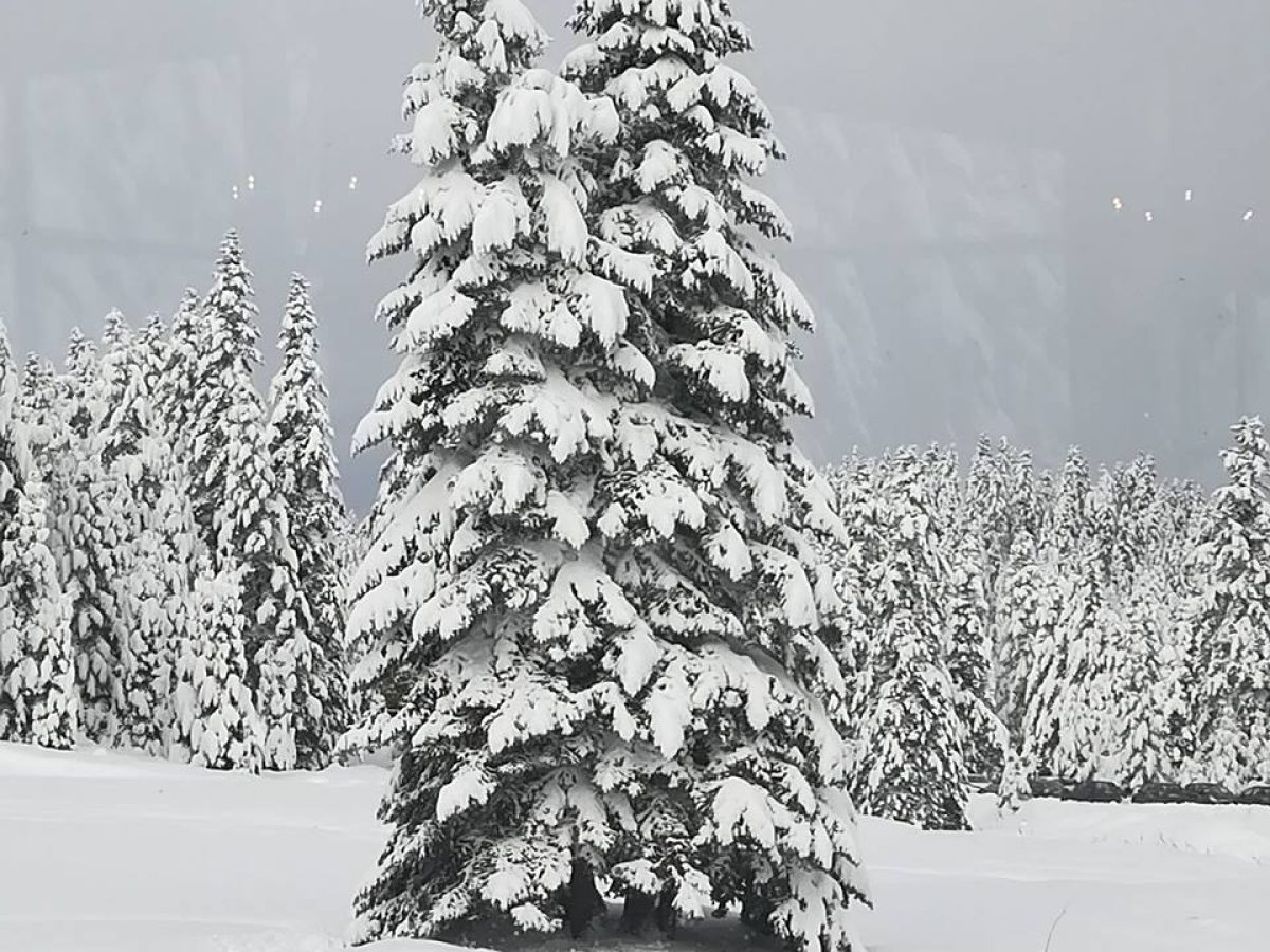 Στα “λευκά” τα ορεινά των Τρικάλων την Πρωτοχρονιά