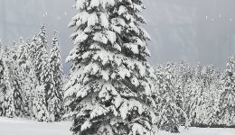 sta-lefka-ta-orina-ton