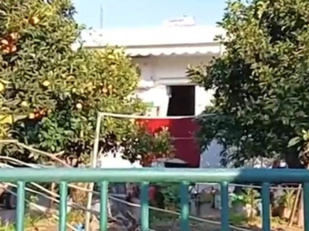 &Sigma;&tau;&omicron; &laquo;&mu;&iota;&kappa;&rho;&omicron;&sigma;&kappa;ό&pi;&iota;&omicron;&raquo; &tau;&omega;&nu; &Alpha;&rho;&chi;ώ&nu; &xi;&alpha;&nu;ά &omicron; &theta;ά&nu;&alpha;&tau;&omicron;&sigmaf; &delta;ύ&omicron; &alpha;&delta;&epsilon;&lambda;&phi;ώ&nu; &mu;&epsilon;&tau;ά &alpha;&pi;ό &phi;&omega;&tau;&iota;ά &tau;&omicron; 2024 &sigma;&tau;&eta; &Nu;&alpha;ύ&pi;&alpha;&kappa;&tau;&omicron; (video)