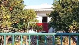 sto-mikroskopio-ton-&Alpha;rchon-xana