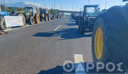 sto-plevro-ton-agroton-i-2