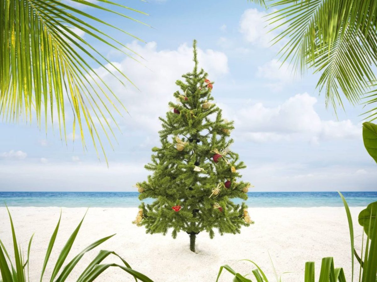 Στου δέντρου το φως και το κύμα …