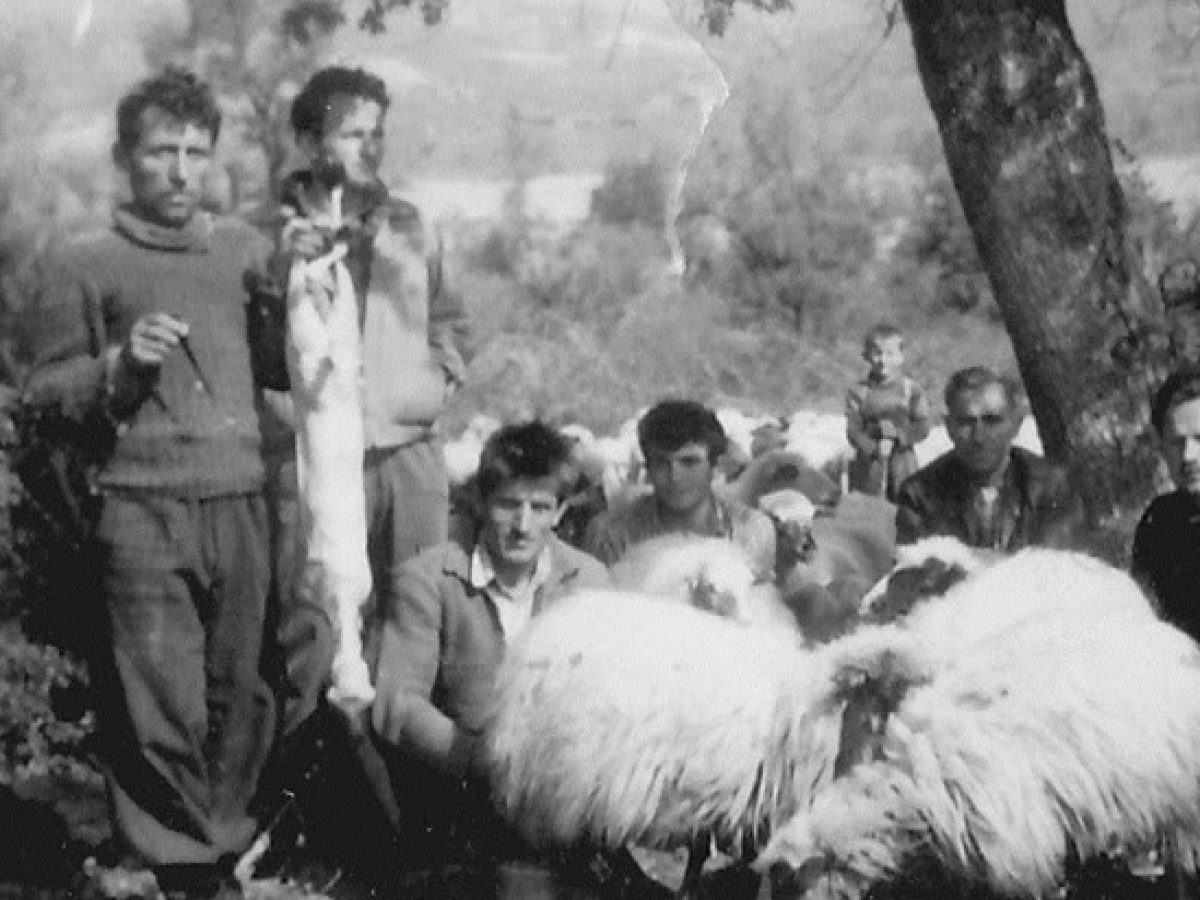 Τα παλιά έθιμα της πρωτοχρονιάς των κτηνοτρόφων της Παραμυθιάς