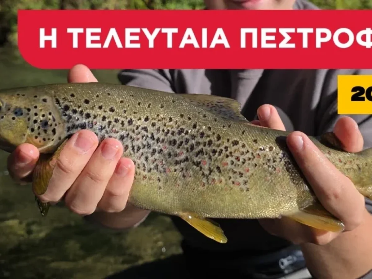 Τελευταίο Ψάρεμα Πέστροφας 2025 – Fly Fishing με Νύμφες | Only Trout Fishing