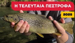 telefteo-psarema-pestrofas-2025-–