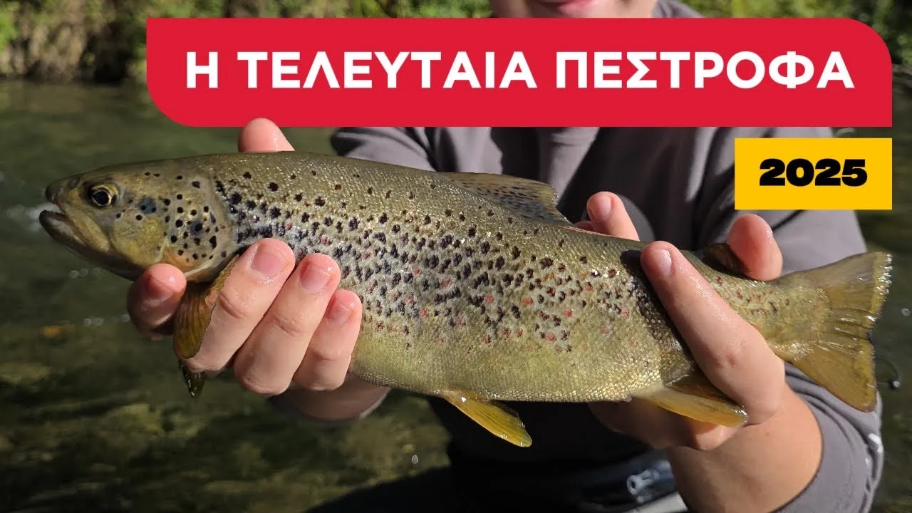 telefteo-psarema-pestrofas-2025-–
