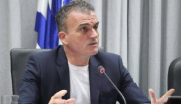 th.mamakos-gia-tin-ekdimia-tou