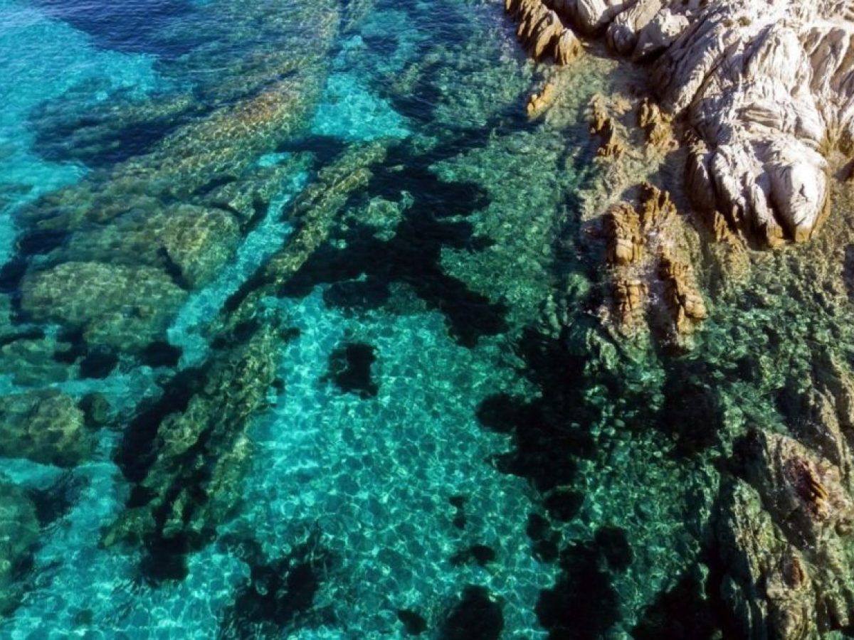 Θαλάσσια πάρκα: Εγκρίθηκαν και δημοσιεύονται οι μελέτες για Ιόνιο και Νότιο Αιγαίο