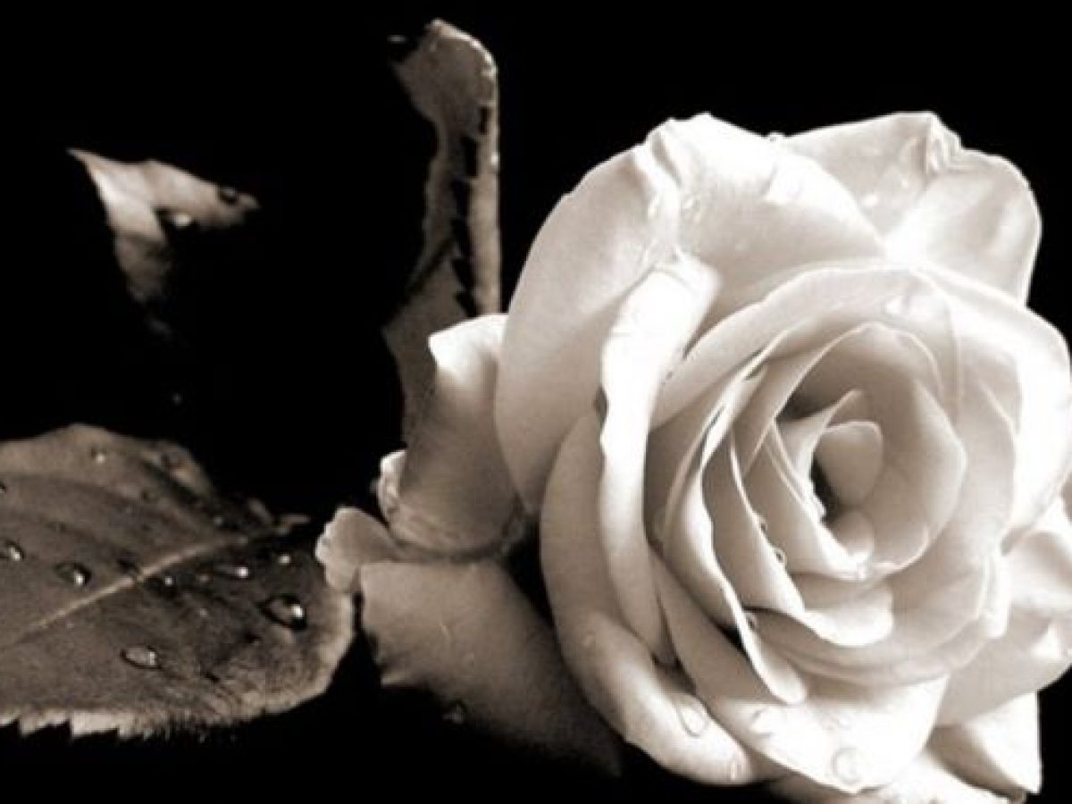 Θλίψη στον δήμο Σαρωνικού για τον Μιχάλη Φούφα -anattica