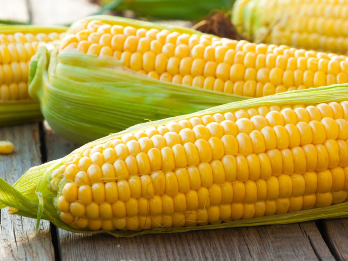 Τι πρέπει να προσέχετε στο καλαμπόκι