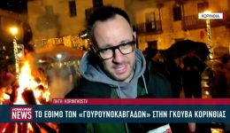 timisan-to-ethimo-ton-gourounokavgadon