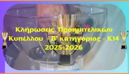 tin-deftera-2912-i-klirosis