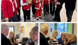 to-nosokomio-chanion-episkefthike-i