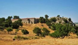 to-programma-ianouariou-tis-enosis