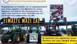 to-somatio-idiotikon-ipallilon-&Alpha;griniou