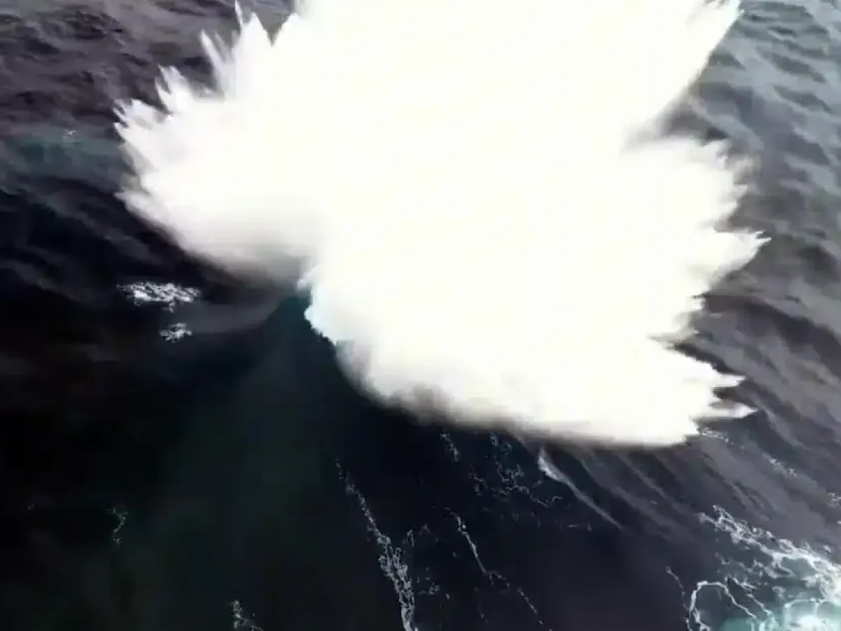 Το σπάνιο φαινόμενο που εκτοξεύει νερό στη μέση του ωκεανού στα 40 μέτρα – Δείτε το βίντεο