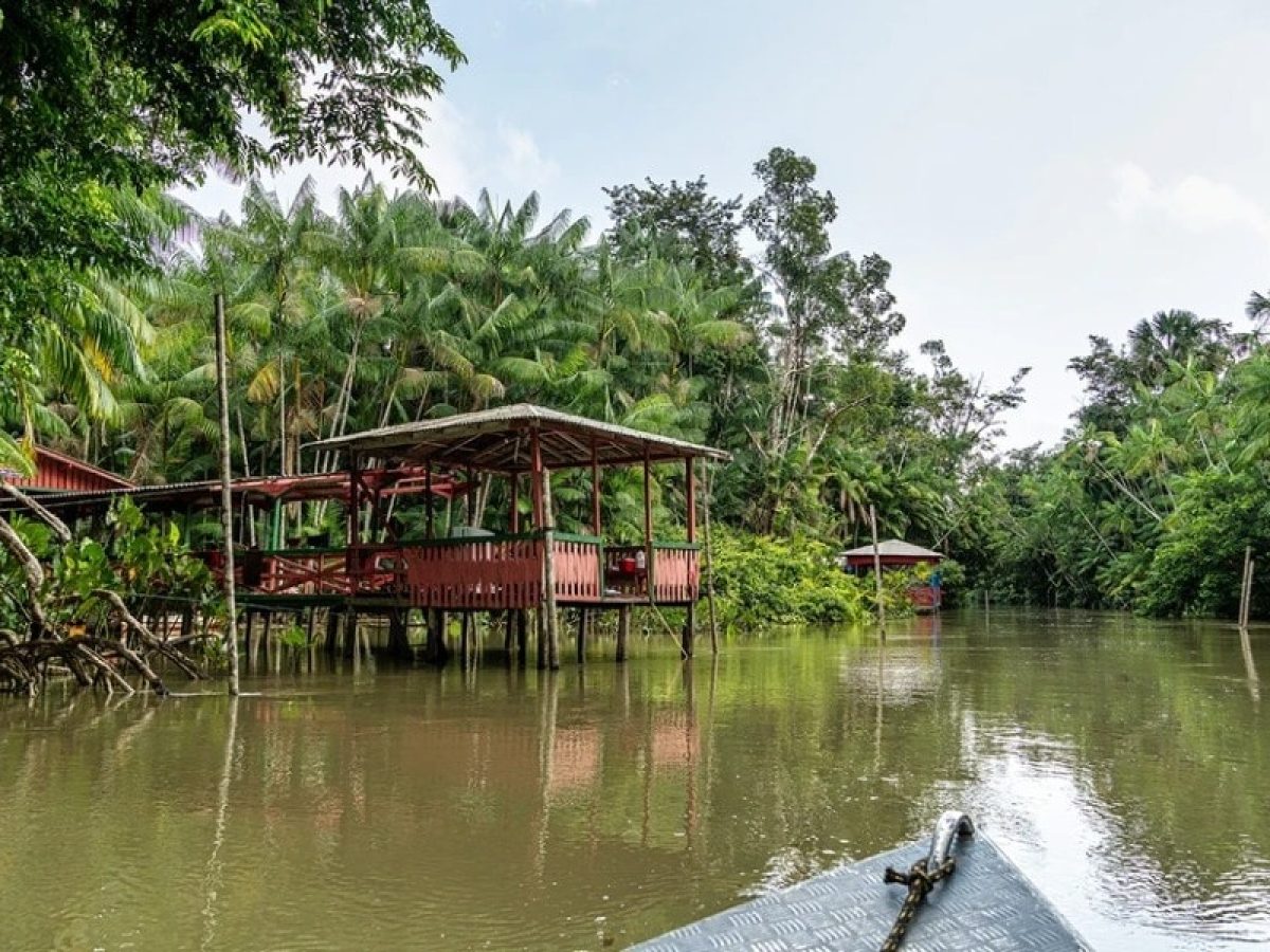 Τραγωδία στη Βραζιλία: Κοριτσάκι 2 χρονών έπεσε σε λίμνη και το κατασπάραξαν τα πιράνχας