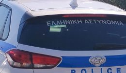 trikalini-apopirathike-na-klepsi-proionta