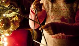 xechasmena-ethima-christougennon-stin-kefalonia-1
