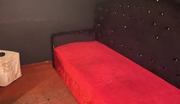 xilothike-kikloma-mastropias-me-drasi