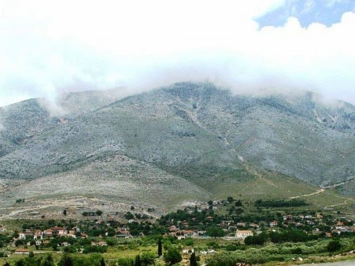 &Xi;&eta;&rho;ό&mu;&epsilon;&rho;&omicron; &ndash; &Mu;&pi;&omicron;ύ&mu;&iota;&sigma;&tau;&omicron;&sigmaf;: &Tau;&omicron; &beta;&omicron;&upsilon;&nu;ό &tau;&omega;&nu; &Kappa;&alpha;&tau;&sigma;&alpha;&nu;&tau;&omega;&nu;&alpha;ί&omega;&nu; &kappa;&alpha;&iota; ά&lambda;&lambda;&omega;&nu; &kappa;&lambda;&epsilon;&phi;&tau;ώ&nu;
