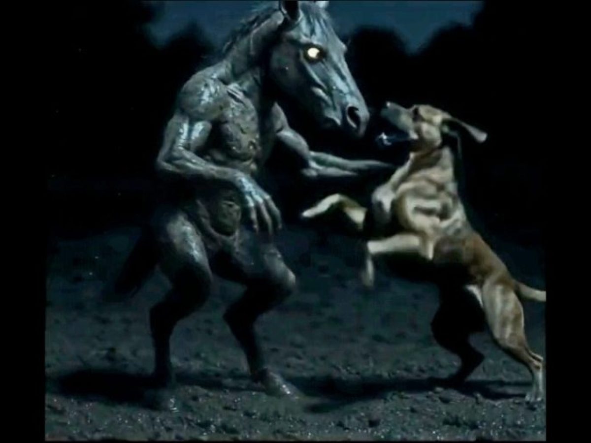 Άγνωστοι θρύλοι της Αιτωλοακαρνανίας: Από τον δαίμονα της Λαγκάδας μέχρι τη Μούτα