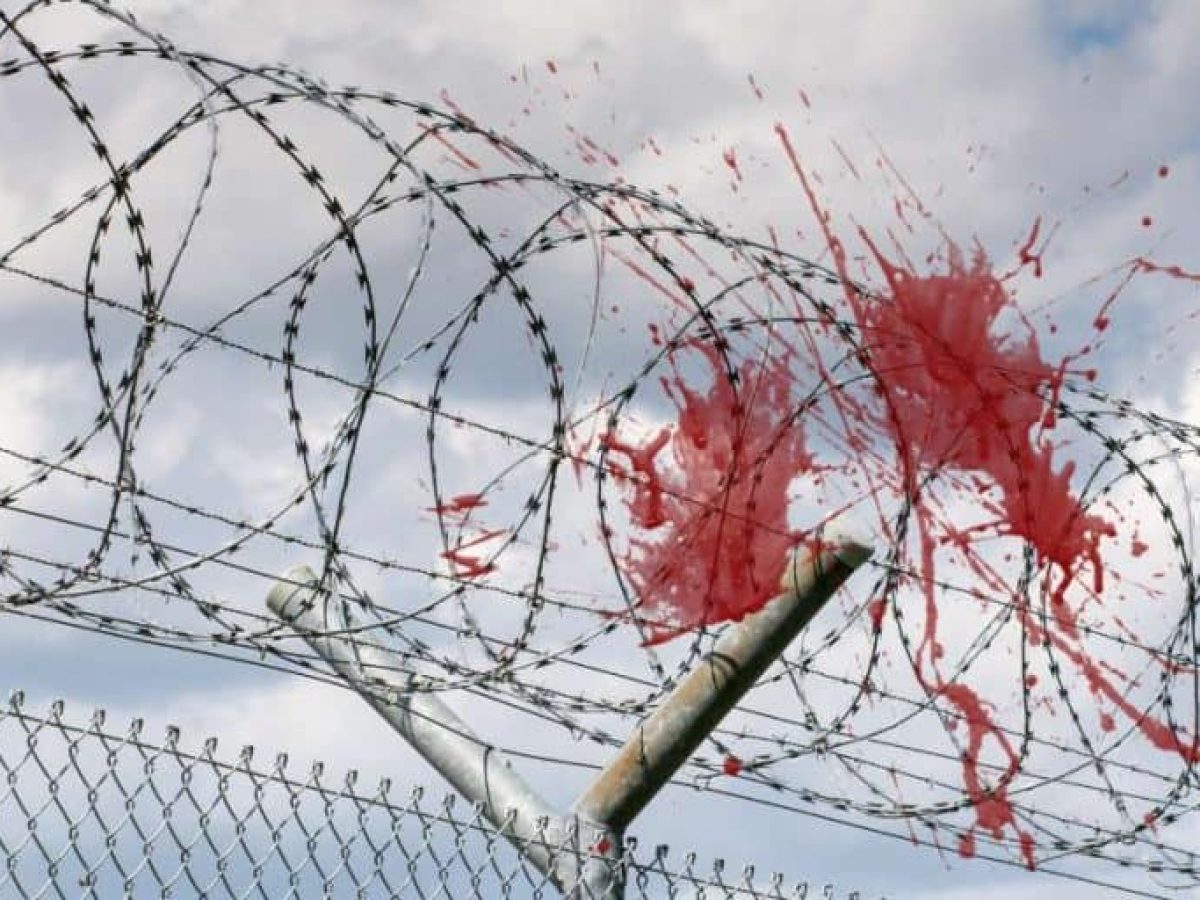 Άγρια συμπλοκή στο Ναύπλιο! Τον έστειλαν για ράμματα στο κεφάλι – Τι συμβαίνει τελικά στις Φυλακές;