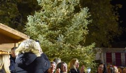 Άnapse-to-christougenniatiko-dentro-sti-1