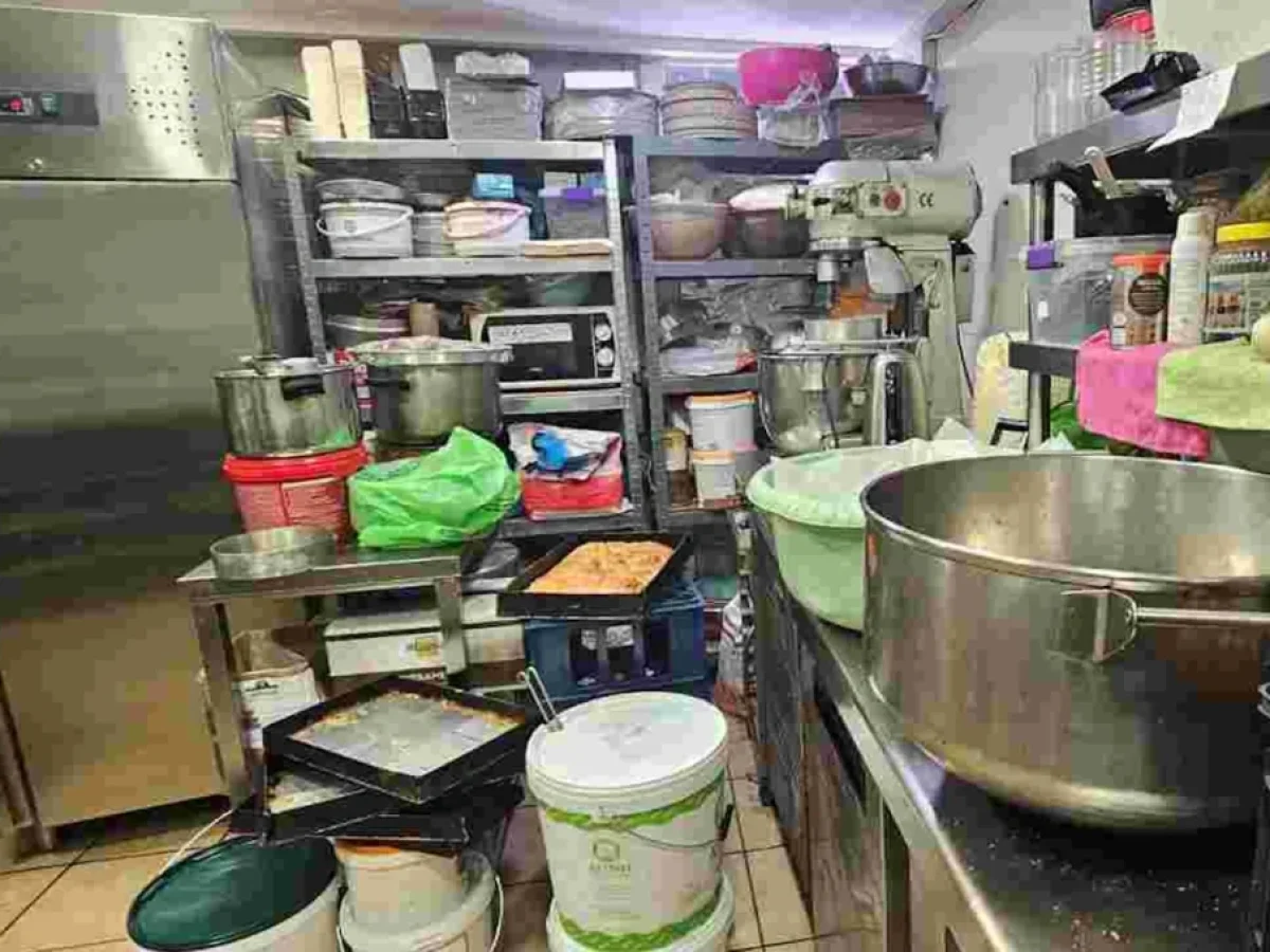 «Αγώνας για Ασφάλεια Τροφίμων στην Αττική: Κατασχέθηκαν 12 τόνοι ακατάλληλων προϊόντων»