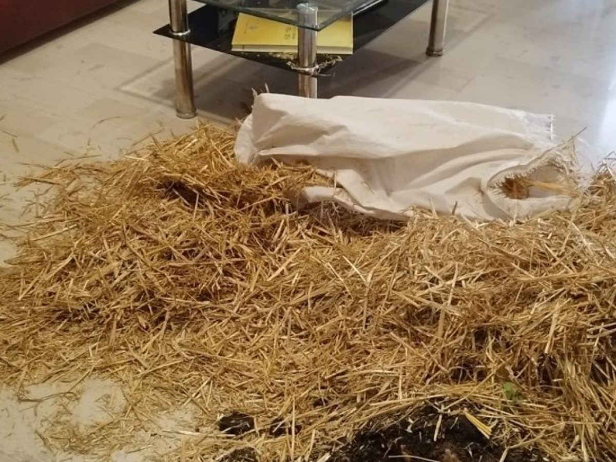 Αγρίνιο: Αγρότες άφησαν σανό, κοπριά και πορτοκάλια στα γραφεία των κυβερνητικών βουλευτών