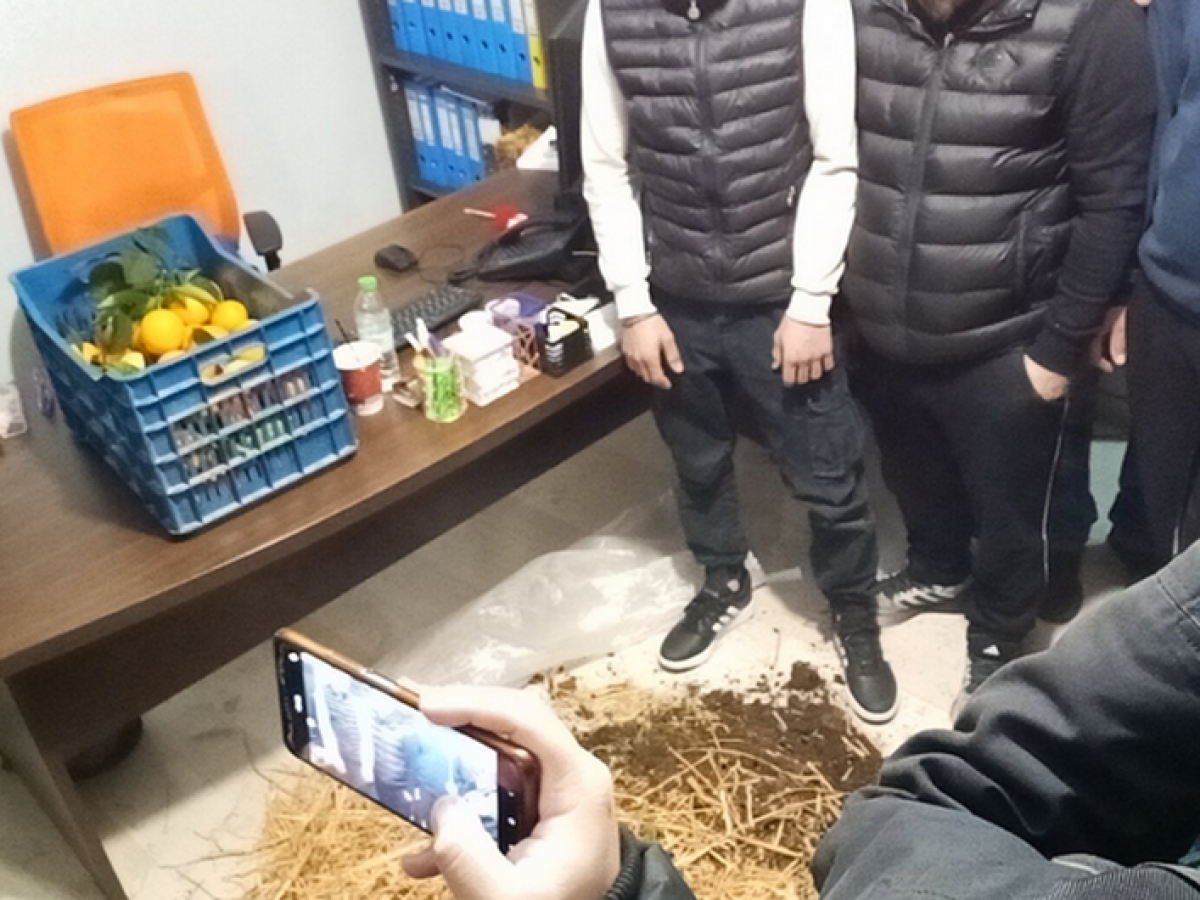 Αγρίνιο: Αγρότες πήγαν με σανό και κοπριά στα γραφεία των βουλευτών της ΝΔ