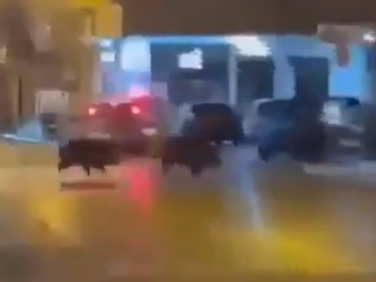 Αγριογούρουνα κάνουν βόλτες στη Ναύπακτο . Δείτε βίντεο