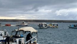 Αliis-agrotes-ke-ktinotrofi-enosan