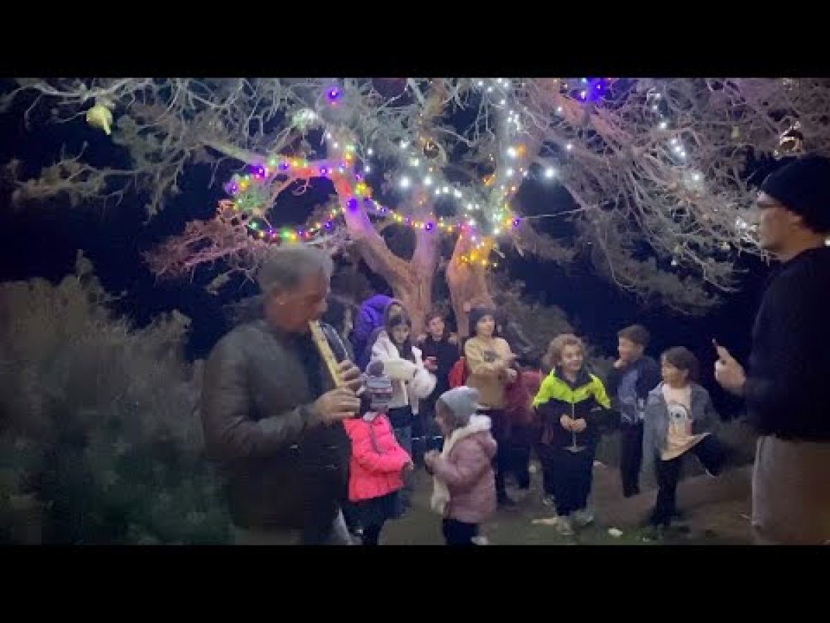 Αλυκό Νάξου: Μια ζεστή Χριστουγεννιάτικη γιορτή δίπλα στο κύμα με άναμμα δέντρου από τον Σύλλογο Πολιχνίου (video+φώτος)