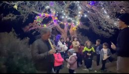 Αliko-naxou-mia-zesti-christougenniatiki