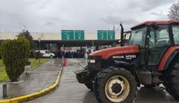 Αnichtos-tha-ine-stis-giortes