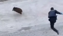 Αpisteftes-ikones-Αstinomiki-tis-el.Αs