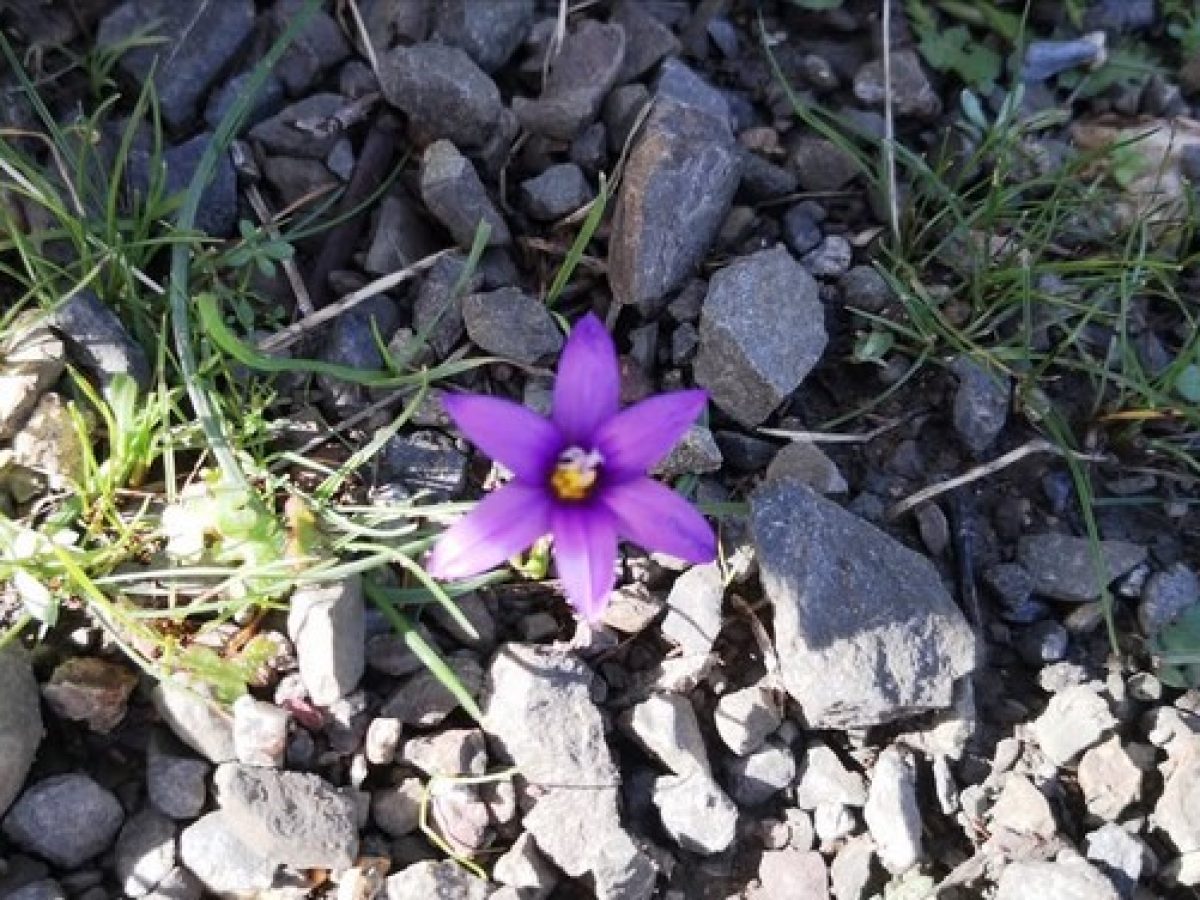 Από το «πόσα κερδίσαμε» στο «πόσα χάσαμε όσο κερδίζαμε» Επίλογος για το 2025 – σκέψεις από την Κω | Του Μιχάλη Τρικοίλη