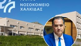 Άdonis-se-polaki-gia-ton