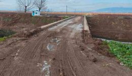 Άrsi-apagorefsis-kikloforias-ochimaton-sti