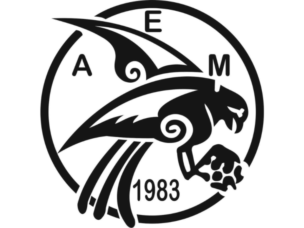 &Alpha;&Epsilon; &Mu;ά&nu;&eta;&sigmaf;: &Sigma;&kappa;&lambda;&eta;&rho;ή &epsilon;&pi;ί&theta;&epsilon;&sigma;&eta; &sigma;&tau;&eta; &delta;&iota;&alpha;&iota;&tau;&eta;&sigma;ί&alpha; &mu;&epsilon; &alpha;&iota;&chi;&mu;έ&sigmaf; &gamma;&iota;&alpha; &laquo;&tau;&alpha;&xi;ί&mu;&alpha;&tau;&alpha;&raquo;