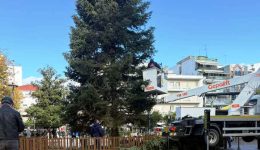 &Alpha;grinio-xestolizete-ke-apomakrinete-to