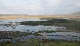 &Alpha;mvrakikos-kolpos-i-prika-tis