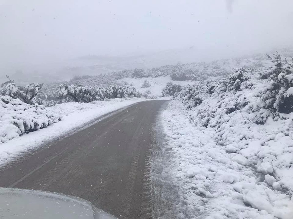 &Alpha;&nu;&alpha;&kappa;&omicron;ί&nu;&omega;&sigma;&eta; &tau;&eta;&sigmaf; &Epsilon;&Lambda;.&Alpha;&Sigma; &gamma;&iota;&alpha; &tau;&eta;&nu; &kappa;&upsilon;&kappa;&lambda;&omicron;&phi;&omicron;&rho;ί&alpha; &sigma;&tau;&omicron; &omicron;&delta;&iota;&kappa;ό &delta;ί&kappa;&tau;&upsilon;&omicron; &tau;&eta;&sigmaf; &Sigma;&tau;&epsilon;&rho;&epsilon;ά&sigmaf;