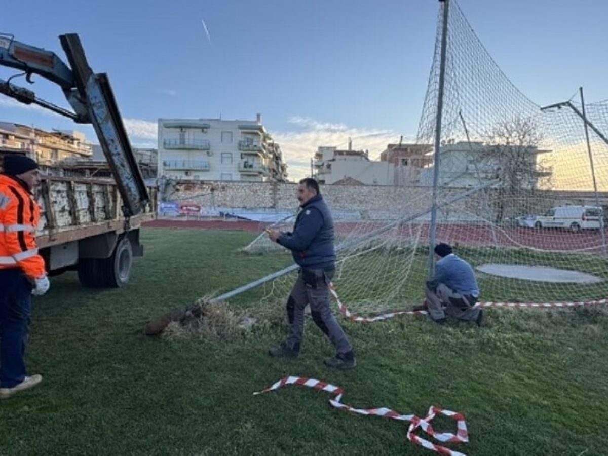 &Alpha;&pi;&omicron;&kappa;&alpha;&theta;ί&sigma;&tau;&alpha;&nu;&tau;&alpha;&iota; &omicron;&iota; &zeta;&eta;&mu;&iota;έ&sigmaf; &alpha;&pi;ό &tau;&eta; &theta;ύ&epsilon;&lambda;&lambda;&alpha; &sigma;&tau;&omicron; &gamma;ή&pi;&epsilon;&delta;&omicron; &laquo;&Phi;ώ&tau;&eta;&sigmaf; &Kappa;&omicron;&sigma;&mu;ά&sigmaf;&raquo; &tau;&eta;&sigmaf; &Alpha;&lambda;&epsilon;&xi;&alpha;&nu;&delta;&rho;&omicron;ύ&pi;&omicron;&lambda;&eta;&sigmaf;