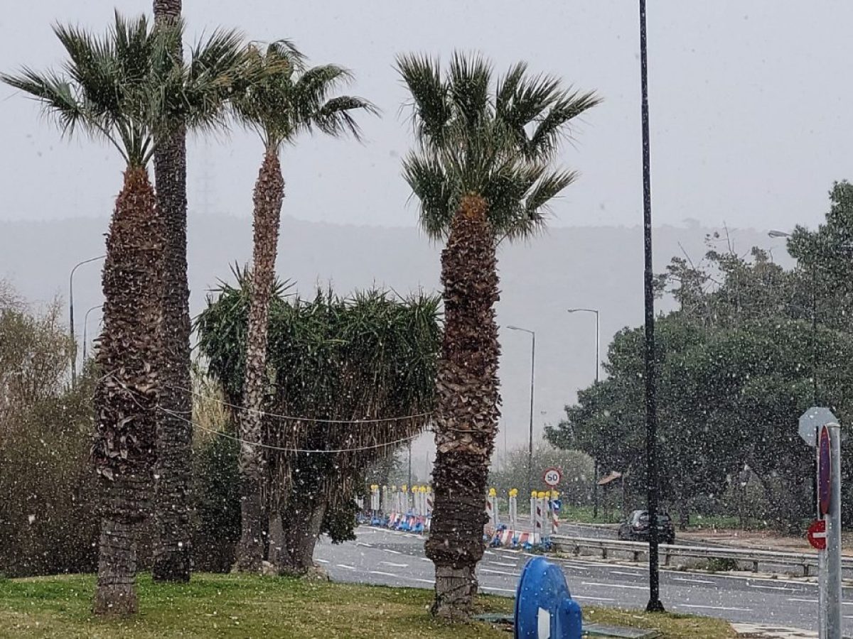 &Alpha;&pi;ό&tau;&omicron;&mu;&omicron; &psi;ύ&chi;&omicron;&sigmaf; (&kappa;&alpha;&iota;) &sigma;&epsilon; &Beta;ά&rho;&eta;, &Beta;&omicron;ύ&lambda;&alpha; &kappa;&alpha;&iota; &Beta;&omicron;&upsilon;&lambda;&iota;&alpha;&gamma;&mu;έ&nu;&eta;