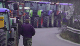 &Alpha;rche&Alpha;-neme&Alpha;-nea-anakinosi-apo