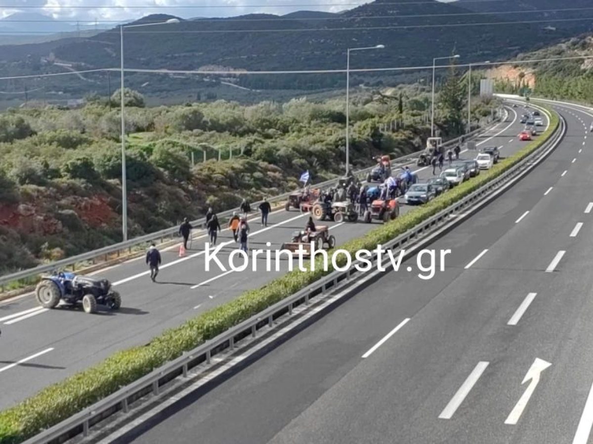 &Alpha;&rho;&chi;&alpha;ί&alpha; &Nu;&epsilon;&mu;έ&alpha;: &Sigma;&chi;&eta;&mu;&alpha;&tau;ί&sigma;&tau;&eta;&kappa;&epsilon; &delta;&iota;&kappa;&omicron;&gamma;&rho;&alpha;&phi;ί&alpha; &gamma;&iota;&alpha; &tau;&omicron;&upsilon;&sigmaf; &alpha;&gamma;&rho;ό&tau;&epsilon;&sigmaf; &pi;&omicron;&upsilon; &mu;&pi;ή&kappa;&alpha;&nu; &mu;&epsilon; &tau;&alpha; &tau;&rho;&alpha;&kappa;&tau;έ&rho; &sigma;&tau;&eta;&nu; &Epsilon;&theta;&nu;&iota;&kappa;ή &Omicron;&delta;ό (VIDEO)
